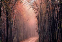 爱游戏:外媒:多特&摩纳哥接触西汉姆,了解埃德松-阿尔瓦雷斯合同情况.