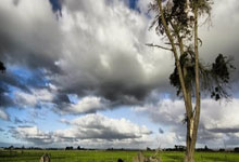 爱游戏：[欧冠]门将压哨头球破门 拉齐奥战平马竞.