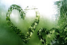 爱游戏:让体育场 “活” 起来 为健康中国赋能.