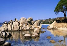 爱游戏:库里伤退砍26分普尔空砍38分 勇士送奇才9连败.